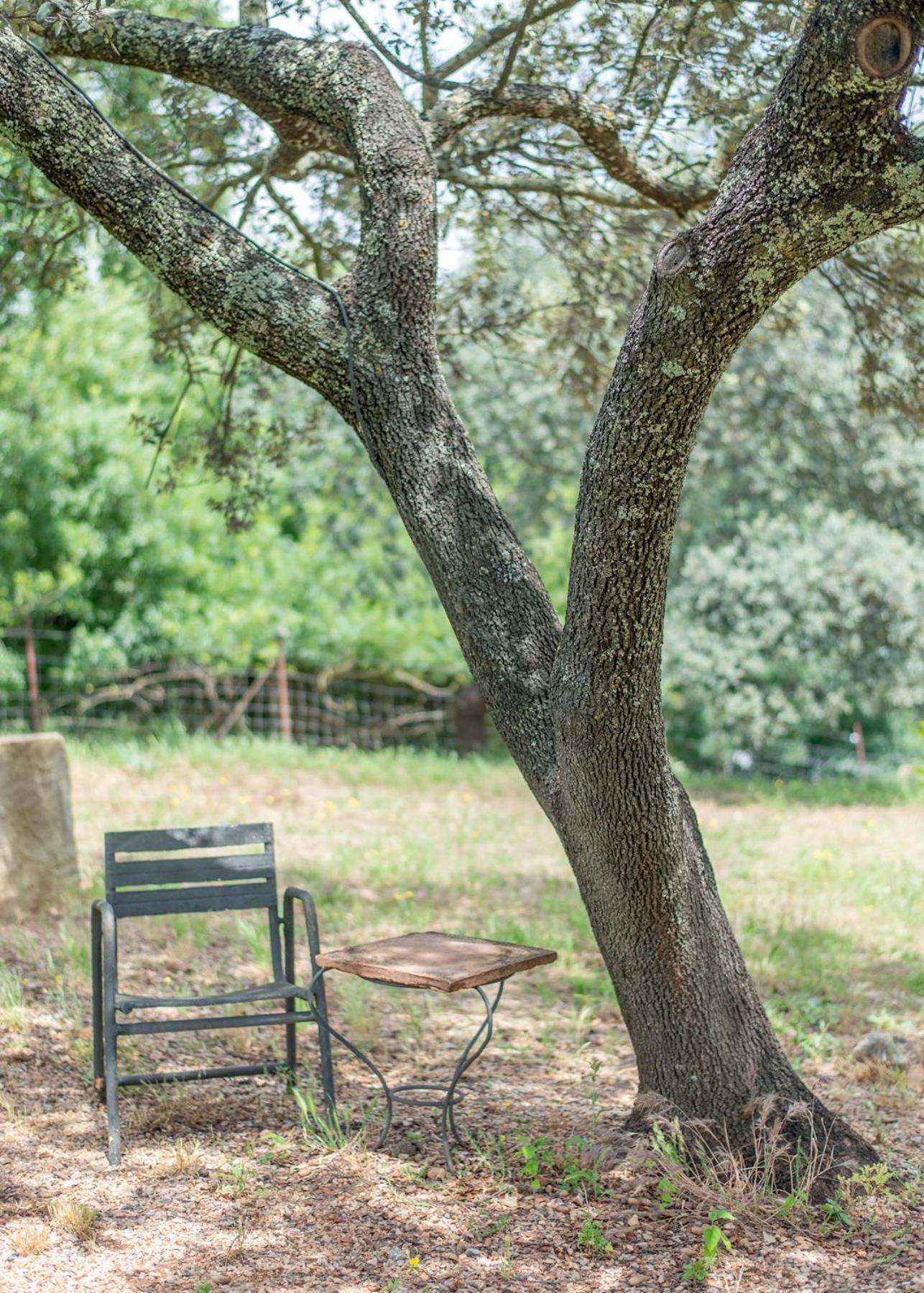 La Umbria De La Ribera Guest House เอลเปโดรโซ ภายนอก รูปภาพ